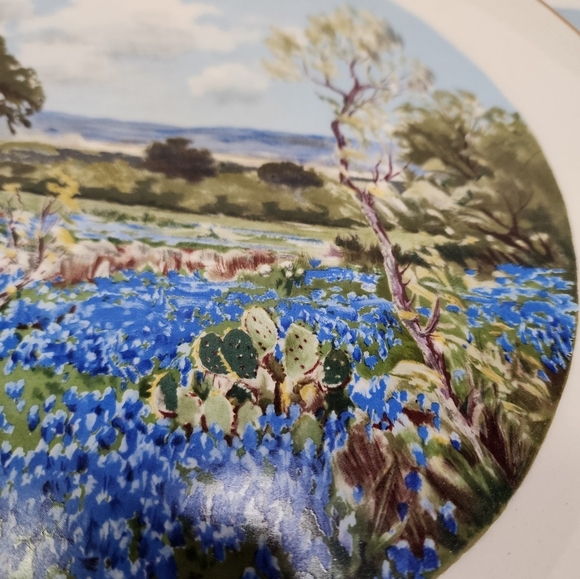 Texas Bluebonnets by Purfirio Salinas 1952 Dashby Kilns West  Texas Bluebonnets by Purfirio Salinas 1952 Dashby Kilns West, Texas 1st Edition